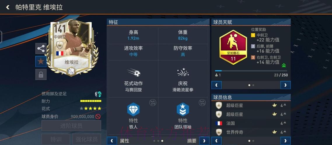 全面解析下注世界杯软件的功能与特点